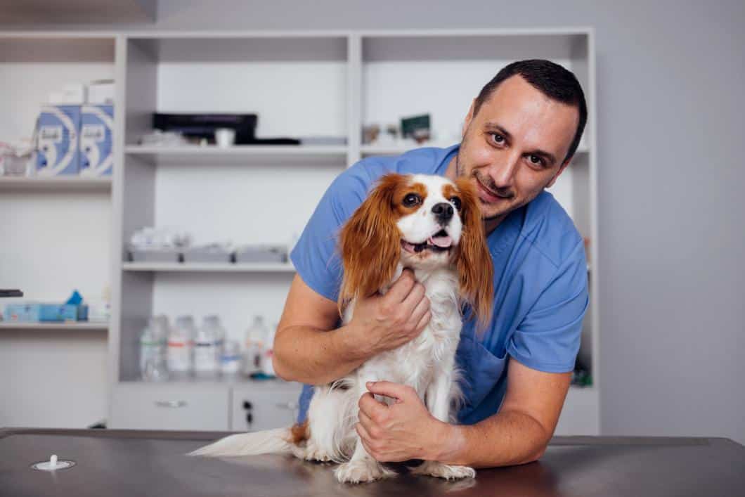 Why Regular Veterinary Check-Ups Are Crucial for Your Senior Pet's ...