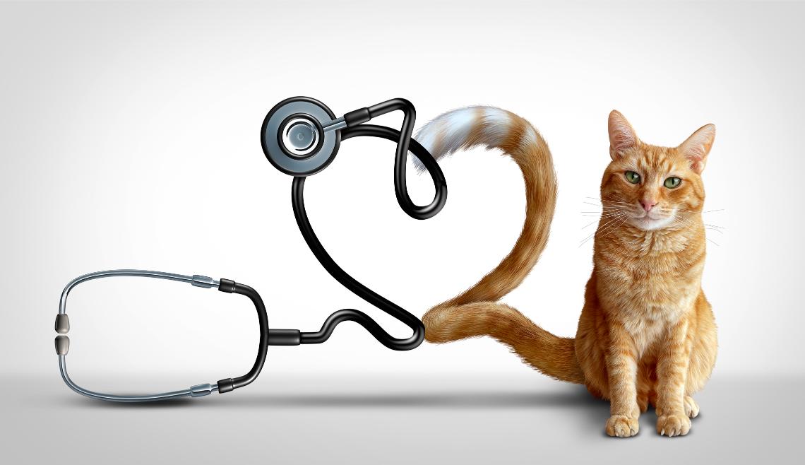 Show Your Pet Love: Heart Health Tips for Your Furry Friends